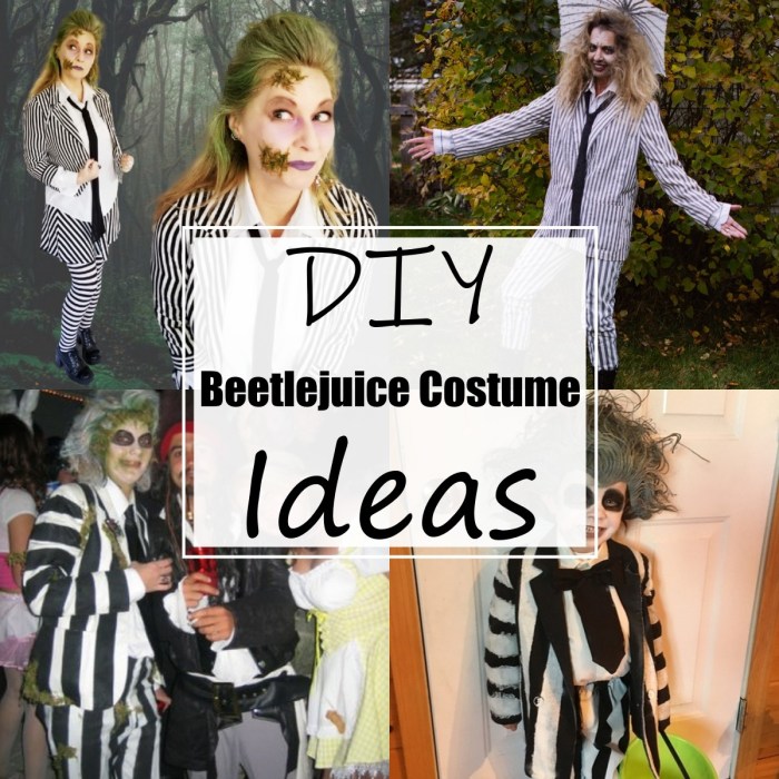 DIY Female Beetlejuice Costume A Guide