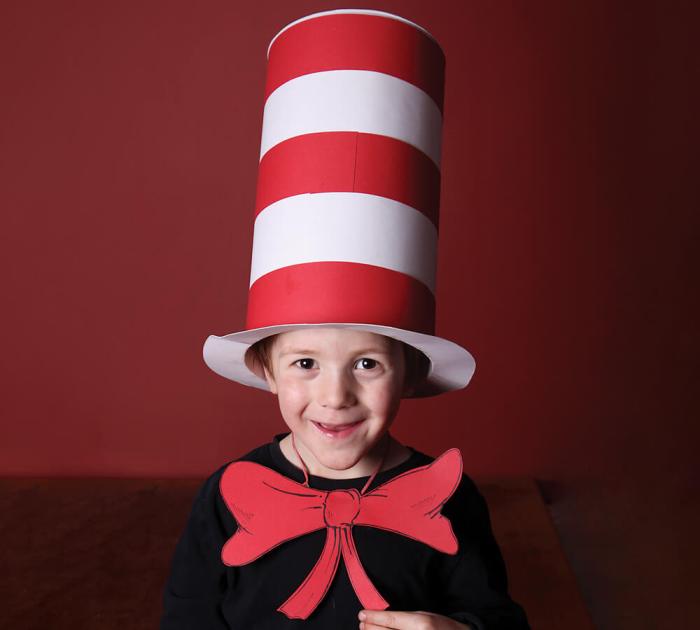 Diy cat and the hat costume