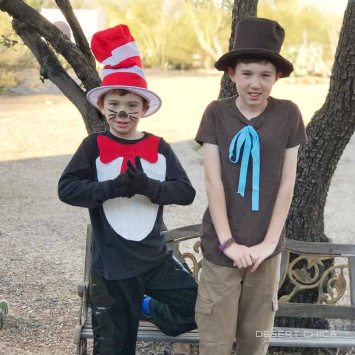 The cat in the hat diy costume