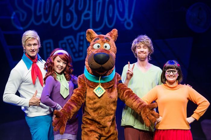 Scooby doo character costumes diy