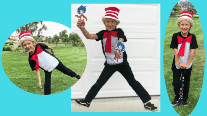 Diy cat and the hat costume