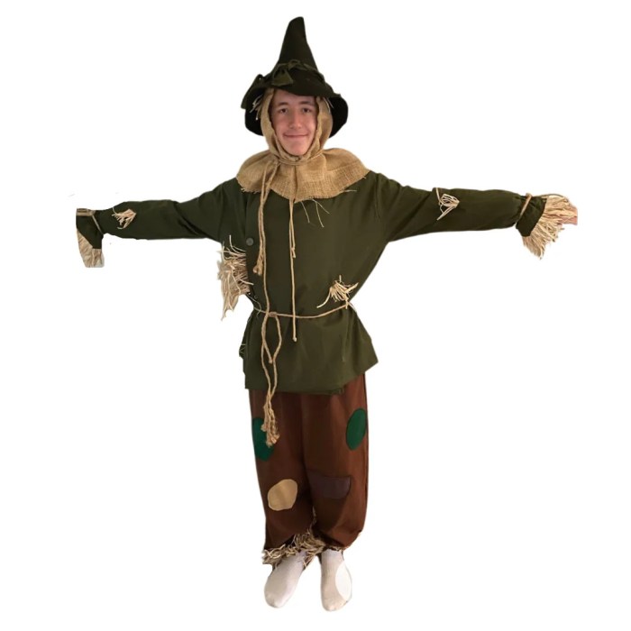 Diy wizard of oz scarecrow costume