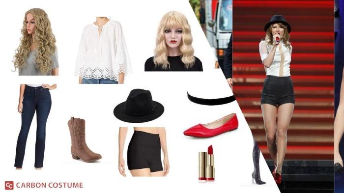 Taylor swift costume diy